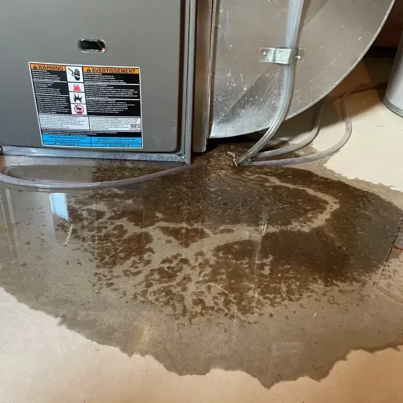 Appliance Leak Cleanup in Medina, TX